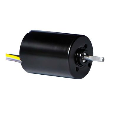 28mm PMDC محرك بدون فرشاة مع سائق متكامل 5.1W 12V 24V محرك BLDC عالي الطاقة للضخ الالكتروني