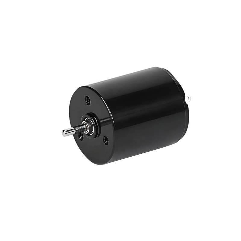 ميكرو كورليس برش محرك DC 22mm 3.61 واط 6900rpm 36V قابلة للتخصيص