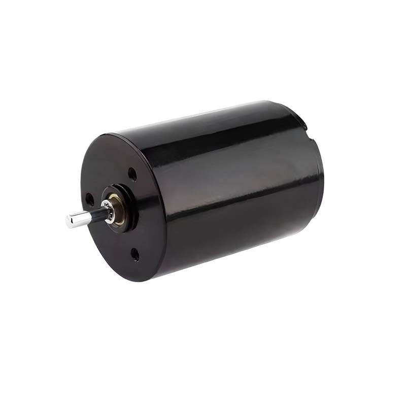 تحكم سهل محرك فرشاة الكربون ميكرو 22mm 3.61 واط 6900rpm 36V قابلة للتخصيص