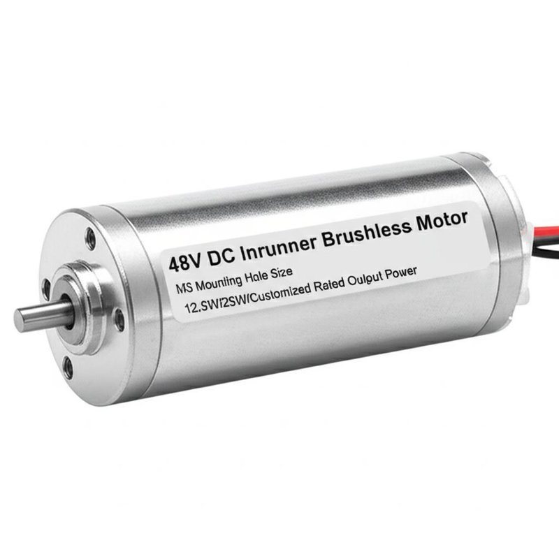 48V DC Inrunner Brushless Motor with M3 Mounting Hole Size and 12.5W/25W/Customized Rated Output Power